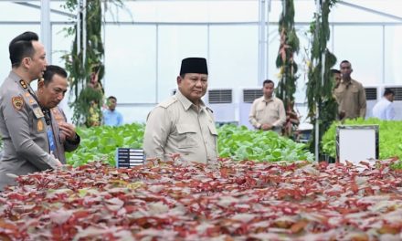 Ribuan Dapur MBG Diresmikan, Pemerintah Target Dampak Sosial