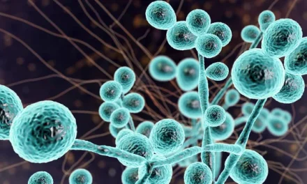 Ancaman Jamur Super Candida Auris Meluas, Cegah Sekarang!