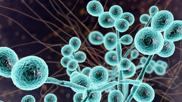Ancaman Jamur Super Candida Auris Meluas, Cegah Sekarang!